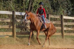 Como fazer uma transição suave com seu cavalo