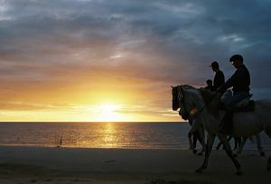 Criada Associação Brasileira de Turismo Equestre