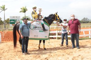 Estatística dos vencedores do GP Potro do Futuro de Corrida: linhagens predominantes