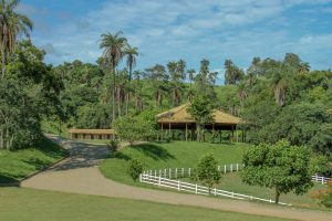 Haras Fórum: um lugar onde os fortes se encontram