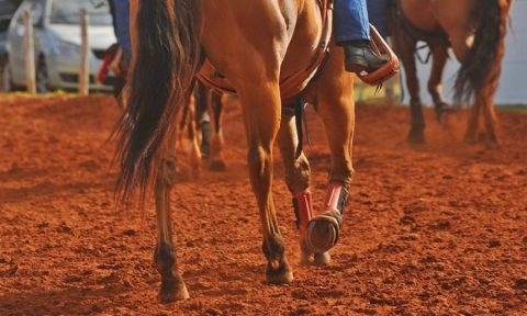 Inscrições em eventos: modalidades, classes e categorias
