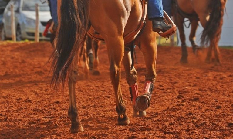 Inscrições em eventos: modalidades, classes e categorias
