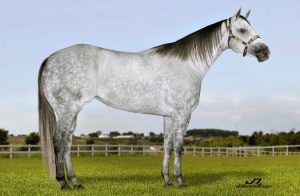 Filha da lendária Brasita Moon ZO, Little Ziza EK é aposta do HBJ