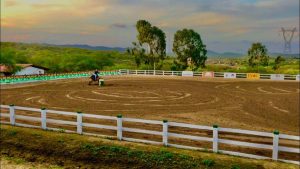 Pernambuco retoma campeonatos de Três Tambores