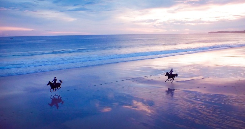 Paulo Junqueira mostra em sua coluna da semana destinos especiais para se cavalgar na praia. Imagine galopar livre numa praia deserta