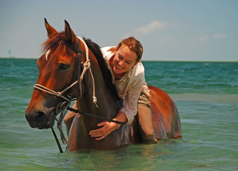 Paulo Junqueira mostra em sua coluna da semana destinos especiais para se cavalgar na praia. Imagine galopar livre numa praia deserta