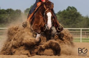 Rédeas é um esporte equestre mundialmente famoso