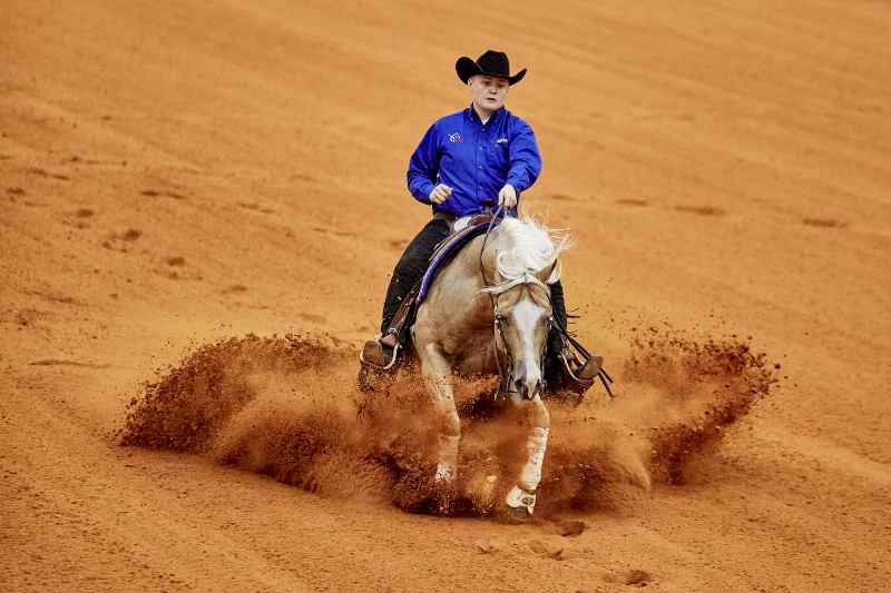 Modalidade técnica e a base para o cavalo, a Rédeas tem movimentos precisos e os competidores são julgados com base nas apresentações