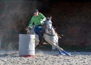 Programa do Cavalo Árabe apresenta a força da raça