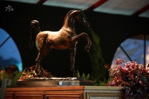 39ª Nacional do Cavalo Árabe é tema do próximo programa da raça