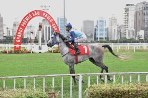 Arabians Returns garante o recomeço das corridas do Cavalo Árabe