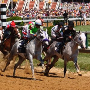 Arabians Returns marca a volta do cavalo Árabe no Jockey Club de SP