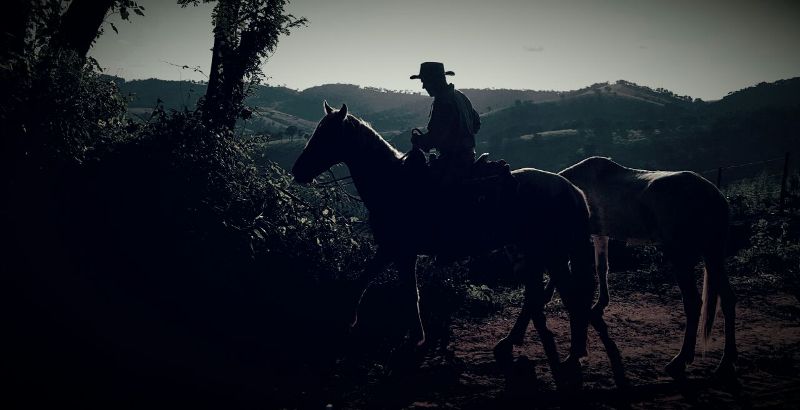 MIGRAÇÃO de CAVALOS SELVAGENS - Red Dead Redemption 2 