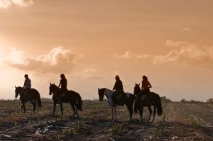 Como aproveitar melhor sua cavalgada