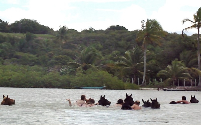 Paulo Junqueira compartilha sua experiência de nadar com o cavalo em viagens pelo Brasil e pelo mundo; experiências da África a Bahia