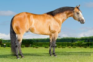 Haras Império detém o melhor garanhão e a melhor matriz de Laço do mundo