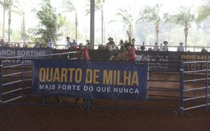 ABQM: Encerradas as provas de Team Penning em Barretos