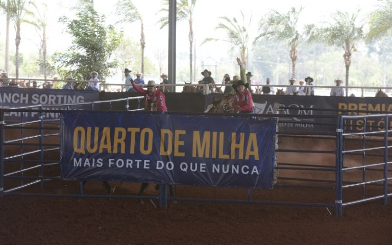 ABQM: Encerradas as provas de Team Penning em Barretos