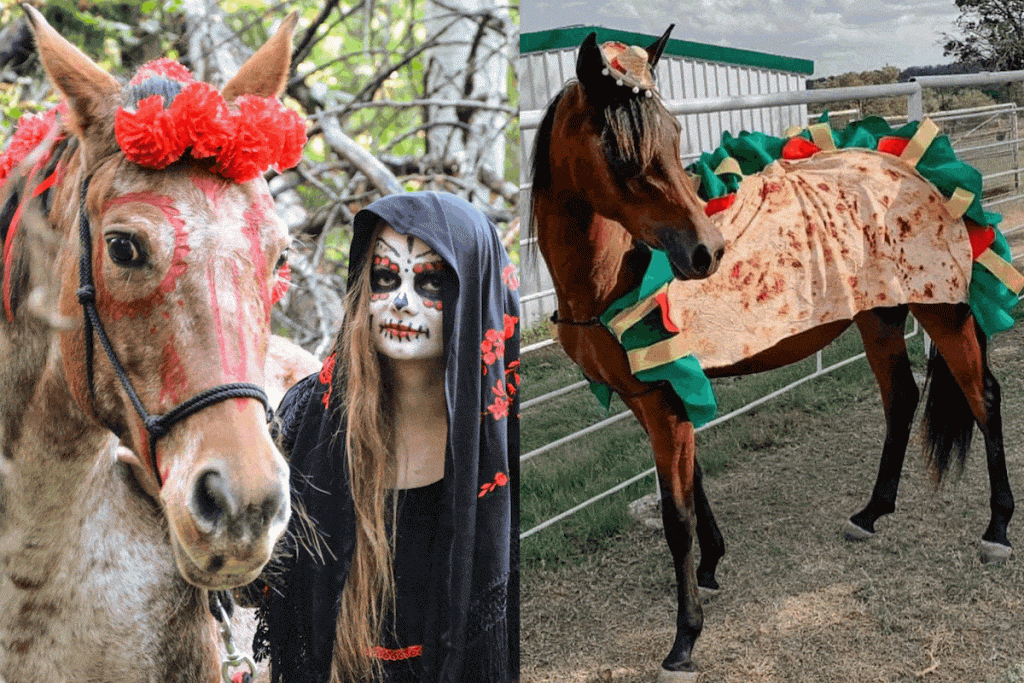 Halloween: veja ideias incríveis de fantasias em cavalos