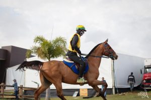 Brasileiro montando Cavalo Árabe fica no Top 10 do Ranking Mundial de Enduro