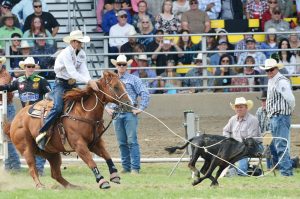 Laço Individual: das tarefas do dia a dia dos ranchos ao rodeio