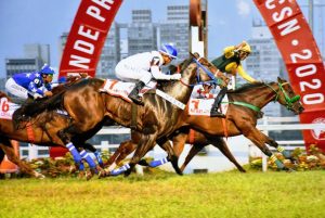 No Way José obtém vitória em importante GP no Jockey de SP