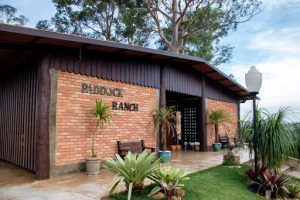 Em quatro dias, Leilão Paddock Ranch reúne o que há de melhor em genética