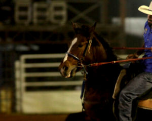 Três Tambores: o que acontece depois daquela ‘pegada’ na boca do cavalo