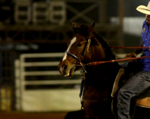 Três Tambores: o que acontece depois daquela ‘pegada’ na boca do cavalo