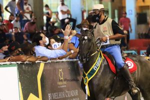 Estão abertas as inscrições para a 39ª Exposição Nacional do Mangalarga Marchador