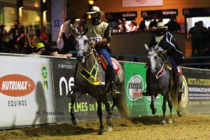 Eventos oficias do Mangalarga Marchador serão retomados