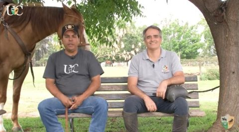 TV UC – Encontro #10 – Sensibilidade, no hackamore e na vida