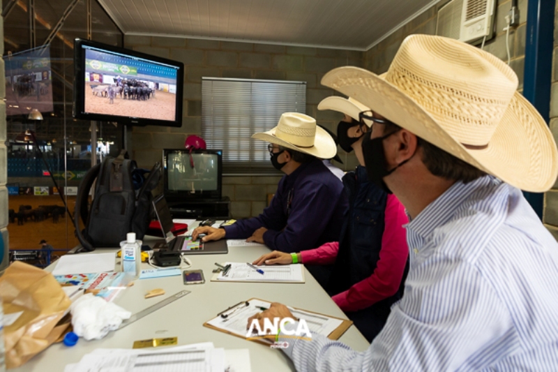 Andy Adams ministrou palestra de julgamento de Apartação ANCA/ABQM no Brasil para mais de 30 pessoas em Espírito Santo do Pinhal/SP