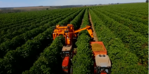 Brasil abre 100 novos mercados externos para produtos agro