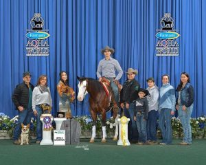 Brasileiro Clemerson Barbalho vence no mundial da AQHA