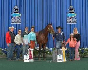 Brasileiro João Leão é terceiro colocado no Mundial da AQHA