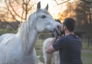 Você sabia que hoje é celebrado o ‘Dia Nacional do Criador de Cavalos’?