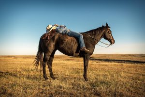 Existem duas formas de treinar um cavalo, mas apenas uma de agir corretamente