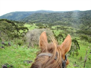 Expedição a cavalo em Campo dos Padres – Santa Catarina