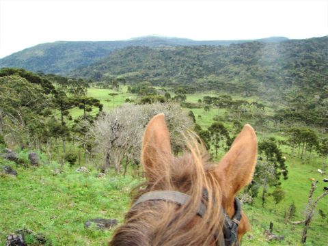 Expedição a cavalo em Campo dos Padres – Santa Catarina