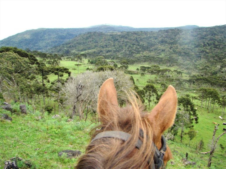 Expedição a cavalo em Campo dos Padres – Santa Catarina
