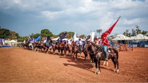 42ª Exposição Nacional do Cavalo Mangalarga começa nesta quinta-feira