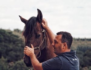 Haras Faraco: paixão pelo Marchador nas rédeas do crescimento