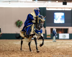 Nacional do Cavalo Árabe: conheça os primeiros campeões do evento