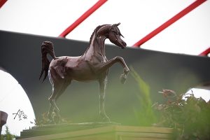 Nacional do Cavalo Árabe: abertura oficial será nesta quinta-feira