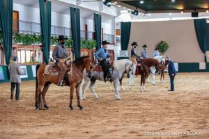 Nacional do Cavalo Árabe:  confira os campeões do segundo dia de competições