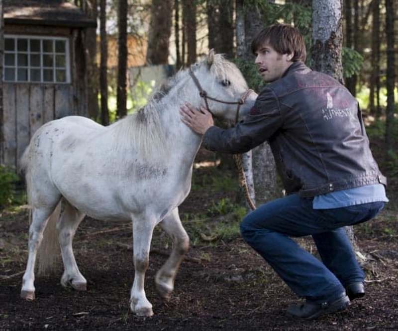 Graham Wardle conta que aprendeu a amar os cavalos enquanto filmava a série canadense Heartland; só aprendeu a montar dias antes do início