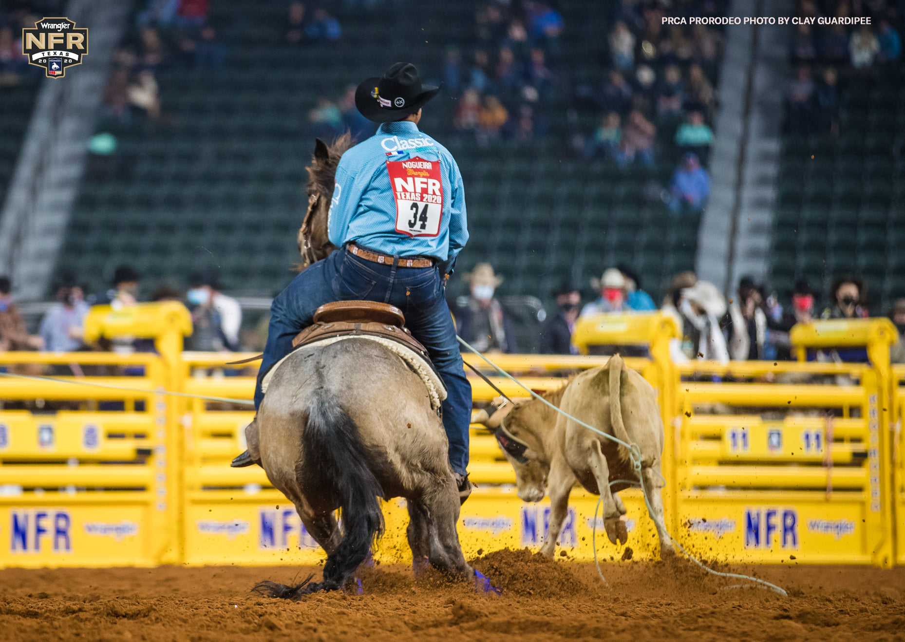 NFR Junior Nogueira e Cody Snow não laçam no Round 3 Cavalus