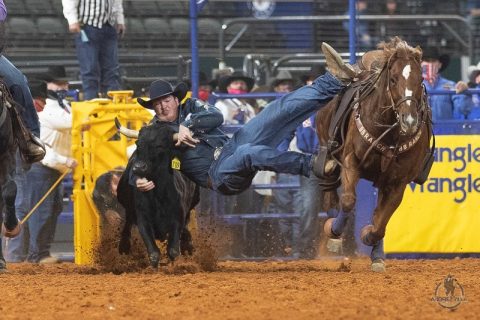 National Finals Rodeo terá transmissão pelo canal Terra Viva