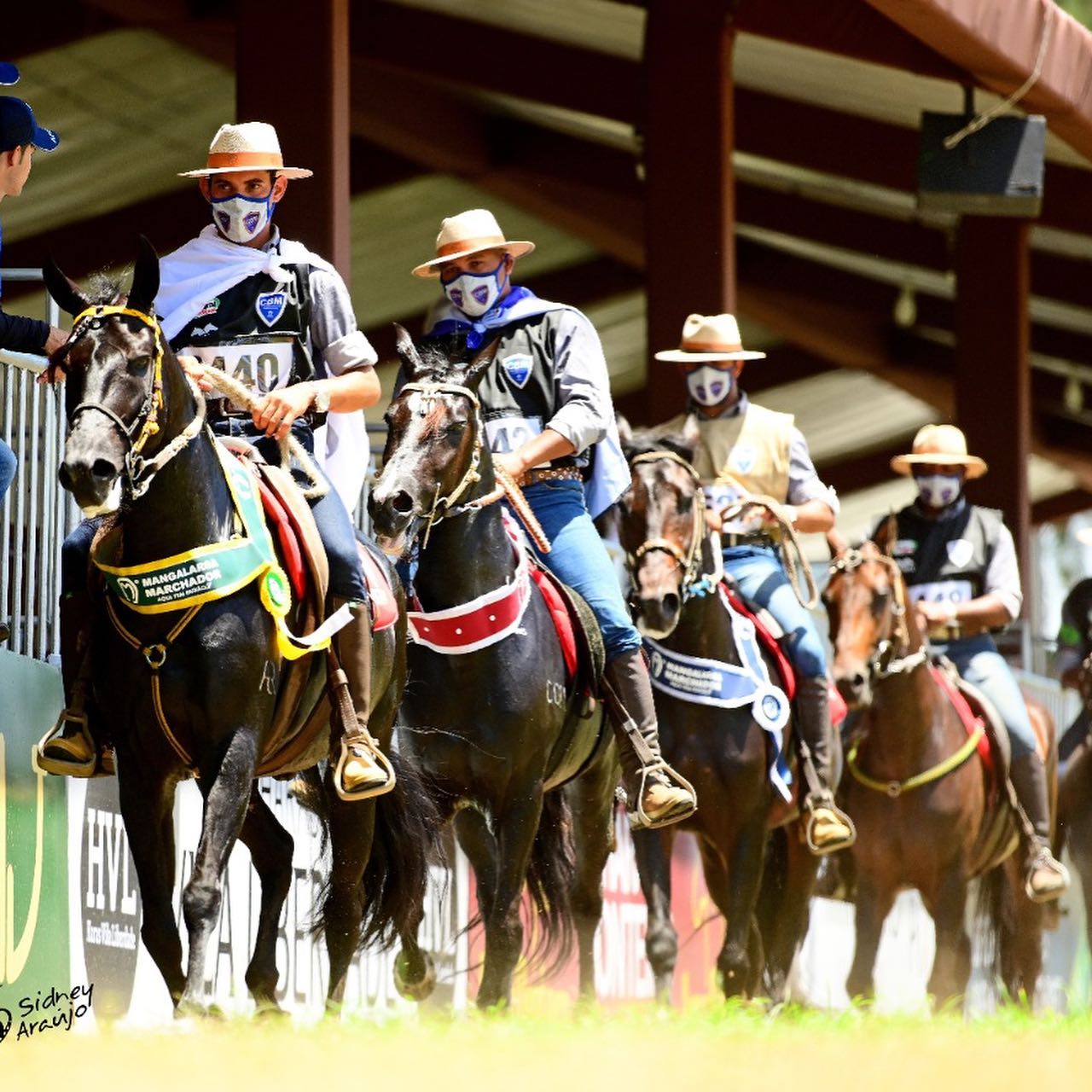 Alto nível dos animais marca o 13º Campeonato Brasileiro de Marcha Picada